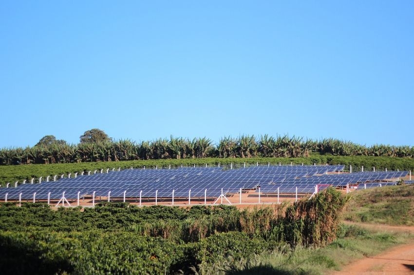 Empresa economiza R$ 35 mil na conta de luz com usina solar instalada em fazenda