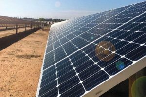 Mais de 300 mil telhados e terrenos têm energia solar no Brasil, diz ABSOLAR