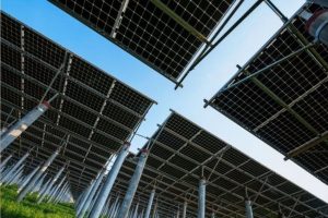 06-11-20-canal-solar-Presidente da Aldo destaca desafios do mercado solar para 2021