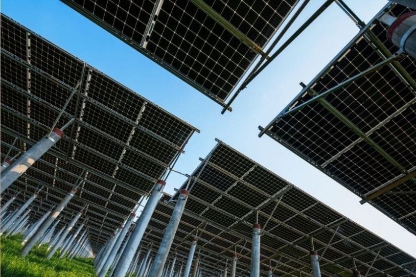 Presidente da Aldo destaca desafios do mercado solar para 2021