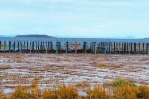 29-01-2021-canal-solar-Solis fornece inversores para usina de 300 MW construída em planícies de maré