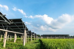 19-03-21-canal-solar-Alsol anuncia investimento para construir 15 usinas solares em 2021