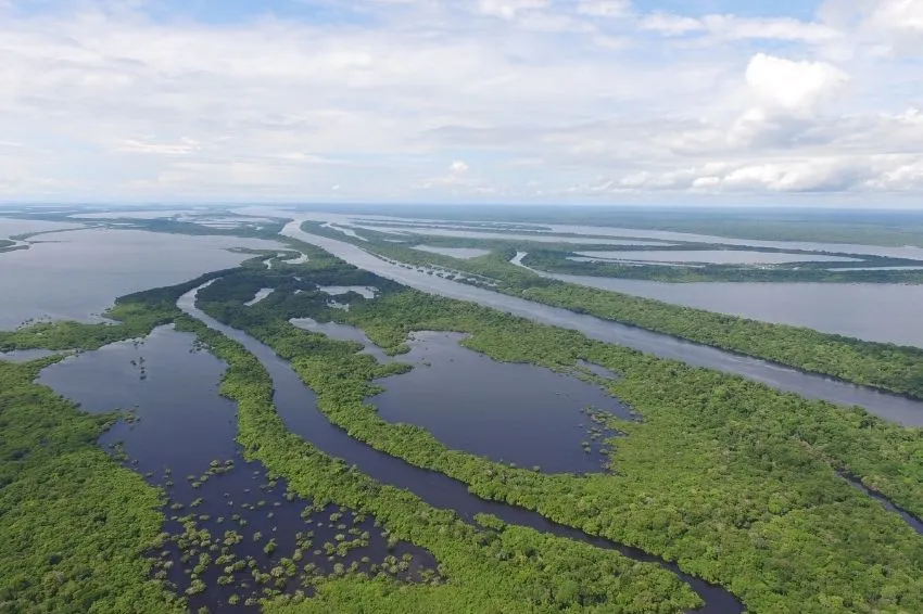 Projeto Amazônia 4.0 prevê exploração sustentável da biodiversidade
