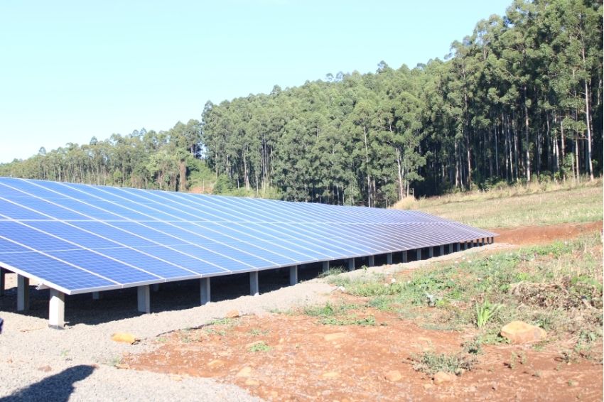 Creche de suínos economiza 80% na conta de luz com uso de energia solar Creche de suínos economiza 80% na conta de luz com uso de energia solar