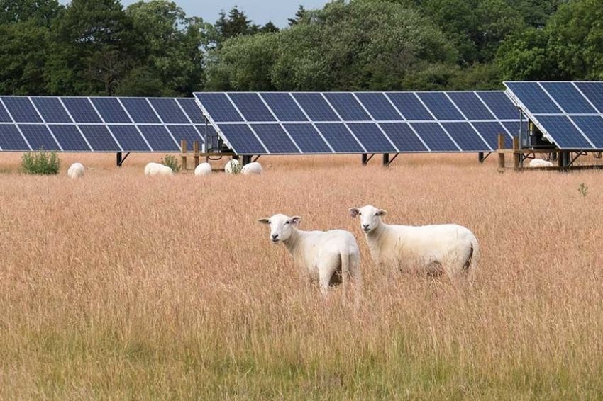 Energia solar no agronegócio impulsiona a transição energética