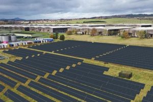 13-08-21-canal-solar-Johnnie Walker usará energia solar para produzir uísque