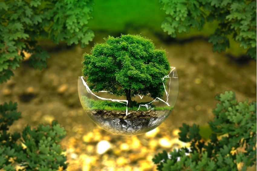 ESG: o que é e por que passou a ser importante para as empresas? ESG: o que é e por que passou a ser importante para as empresas?