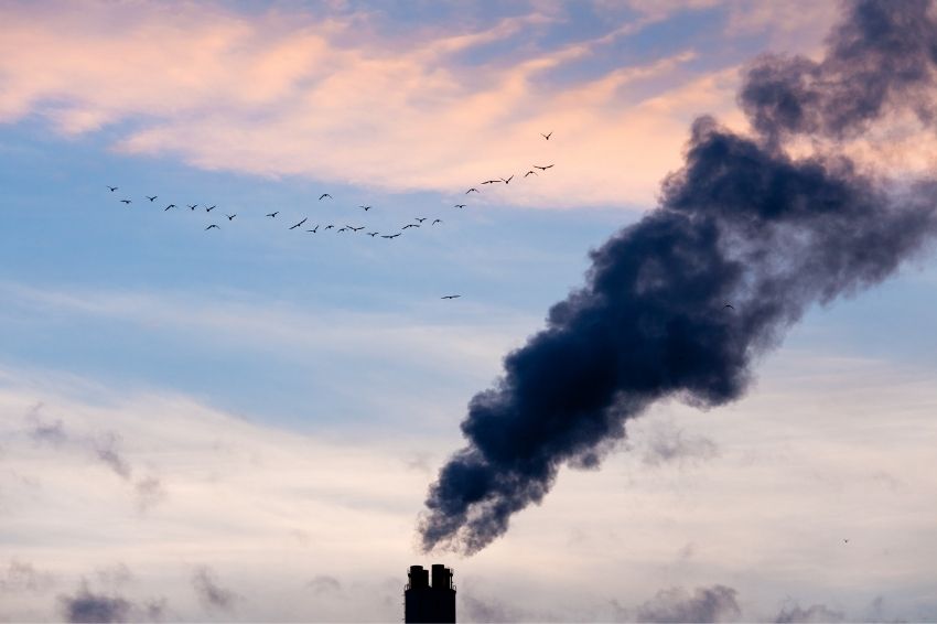 Dois terços das empresas globais miram zerar emissões de carbono