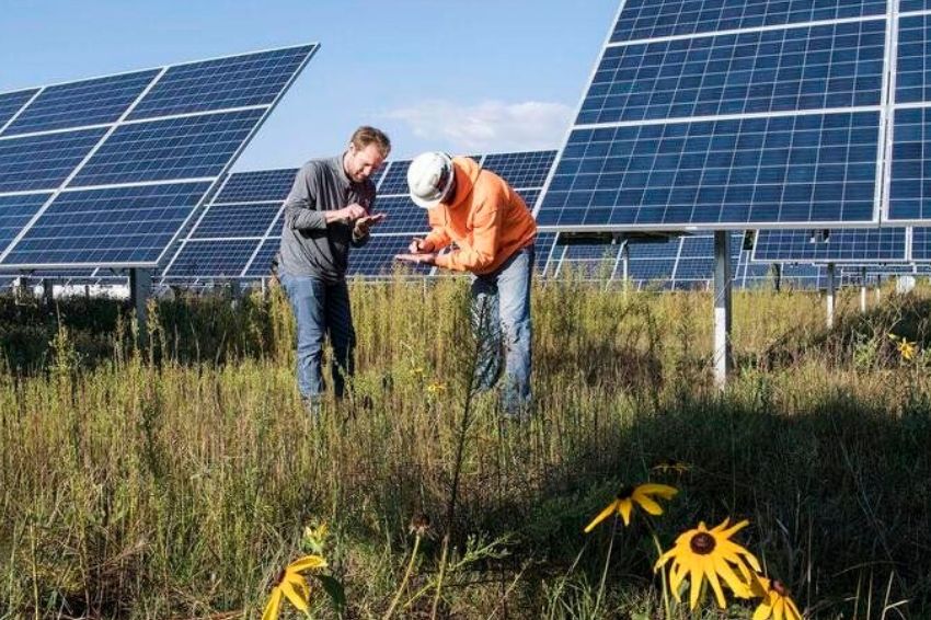 Como a energia solar pode auxiliar o produtor rural e o agronegócio?