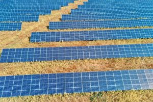 Dia do campo: 13,73% da GD solar está concentrada em propriedades rurais