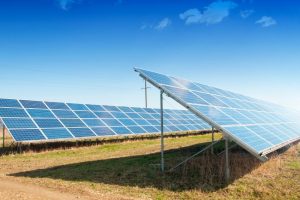 Canal Solar SPIC compra 70% de projetos solares da Canadian e entra no mercado brasileiro