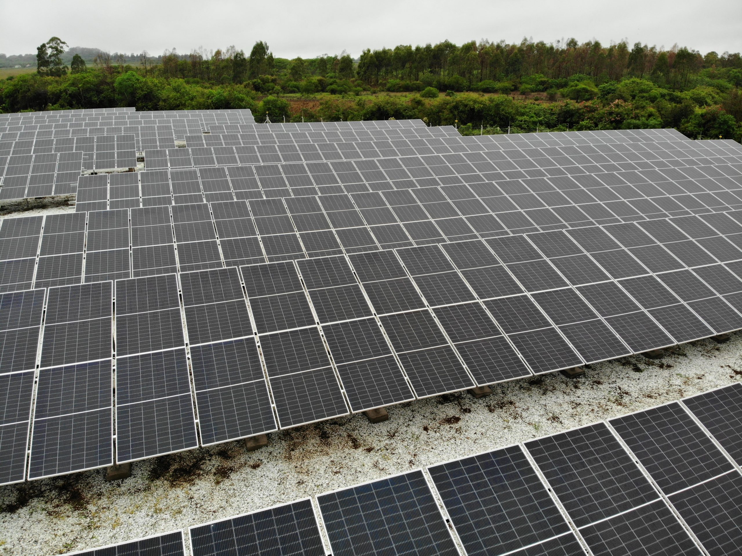 Utilizaram 1.960 painéis solares bifaciais de 654 Wp da Canadian Solar. Foto: Divulgação