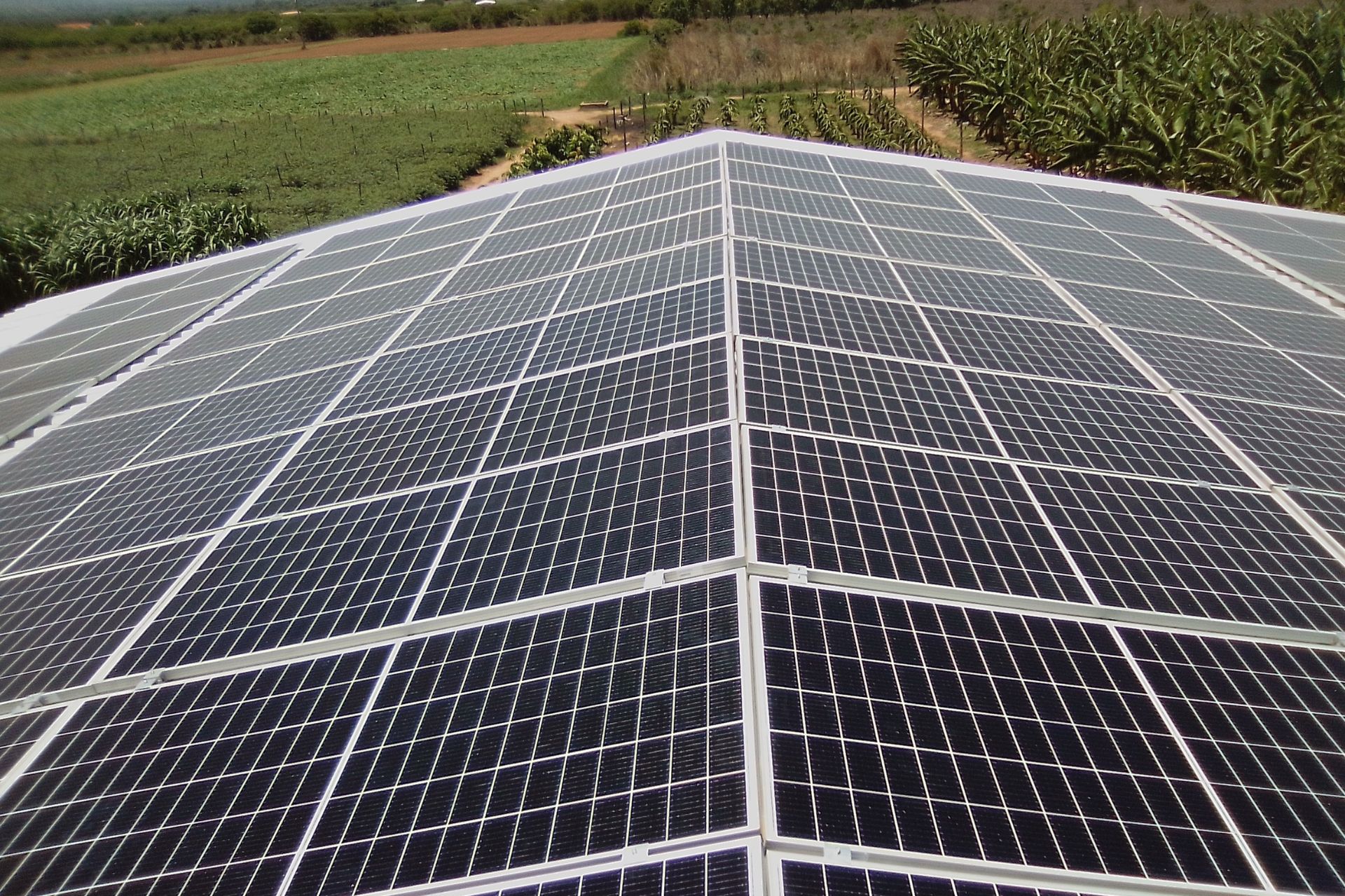 Projeto de lei estimula uso da solar na agricultura familiar