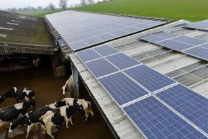 Apenas 13% do agronegócio têm energia solar no Brasil