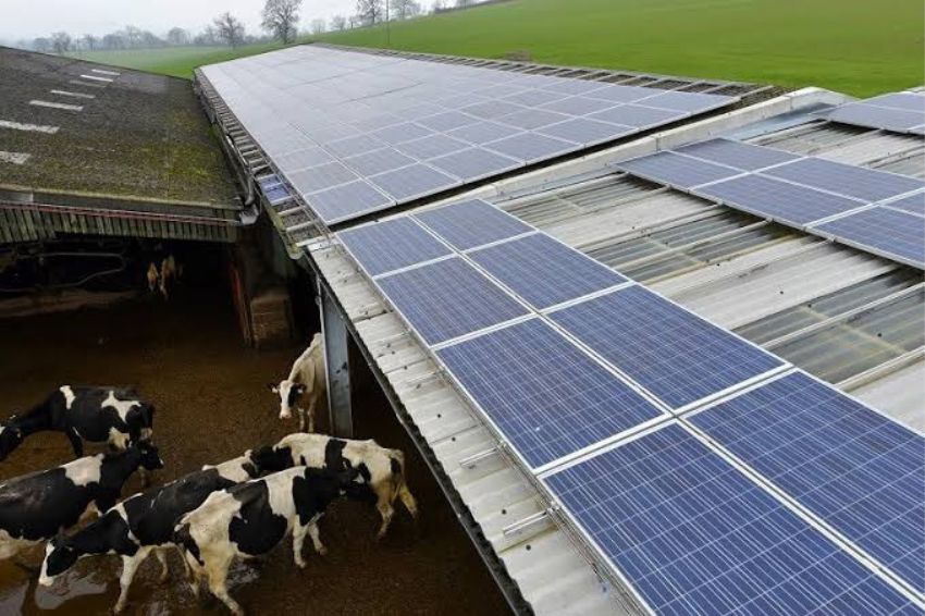 Apenas 13% dos consumidores rurais têm energia solar no Brasil