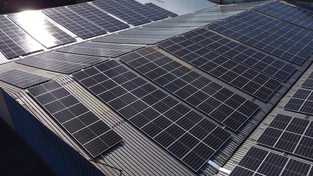 Foram utilizados mais de mil painéis solares da Risen. Foto: Sollar Sul/Divulgação