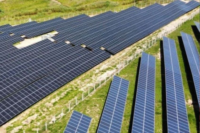 Canal Solar Franquias de alimentação economizam com assinatura de energia solar