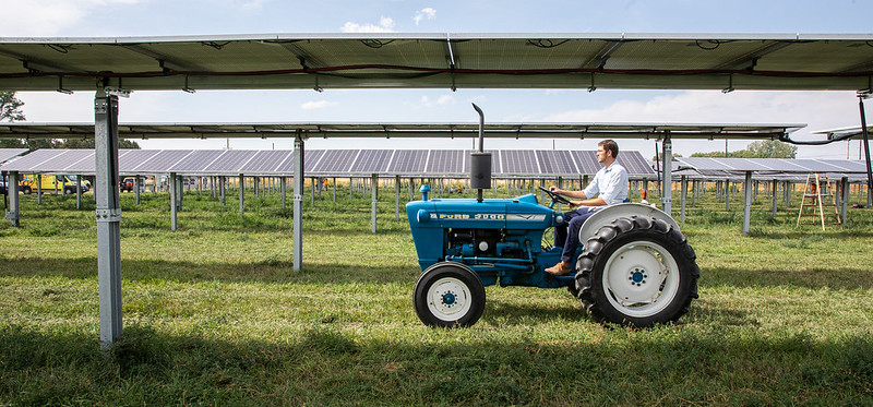 Byron Kominek, operador do Jack's Solar Garden, que combina pesquisa e projetos comunitários em sua usina agrovoltaica. Imagem: Werner Slocum, NREL