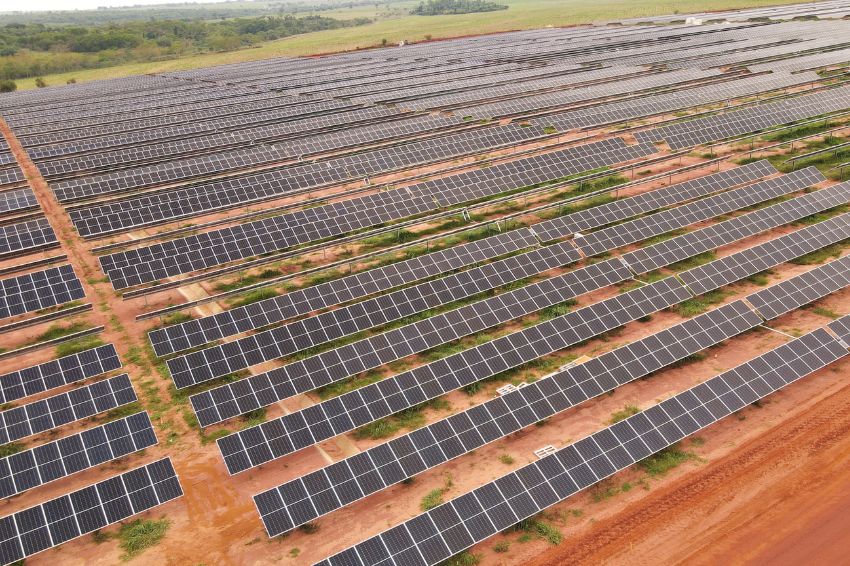 Solar Castilho entra em operação para fornecer energia à PremiePet