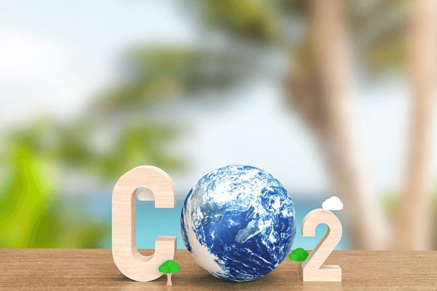 Em ação inédita, Comerc neutraliza emissões de CO2 de colaboradores