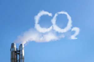 Setor empresarial pede criação de mercado nacional de carbono