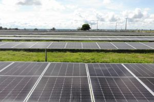 Vivo inaugura usina de energia solar de 2 MWp em Rondônia