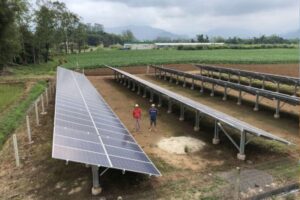 Brasil soma quase 170 mil sistemas de energia solar no campo, num total de 3,1 GW de potência instalada