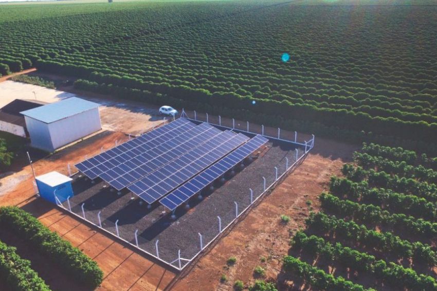 Integração de Agricultura e Energia Solar: Saiba Como o Brasil