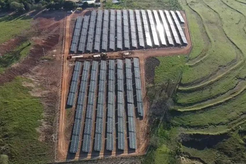 Cocal investe R$ 10 milhões em usina solar em São Paulo
