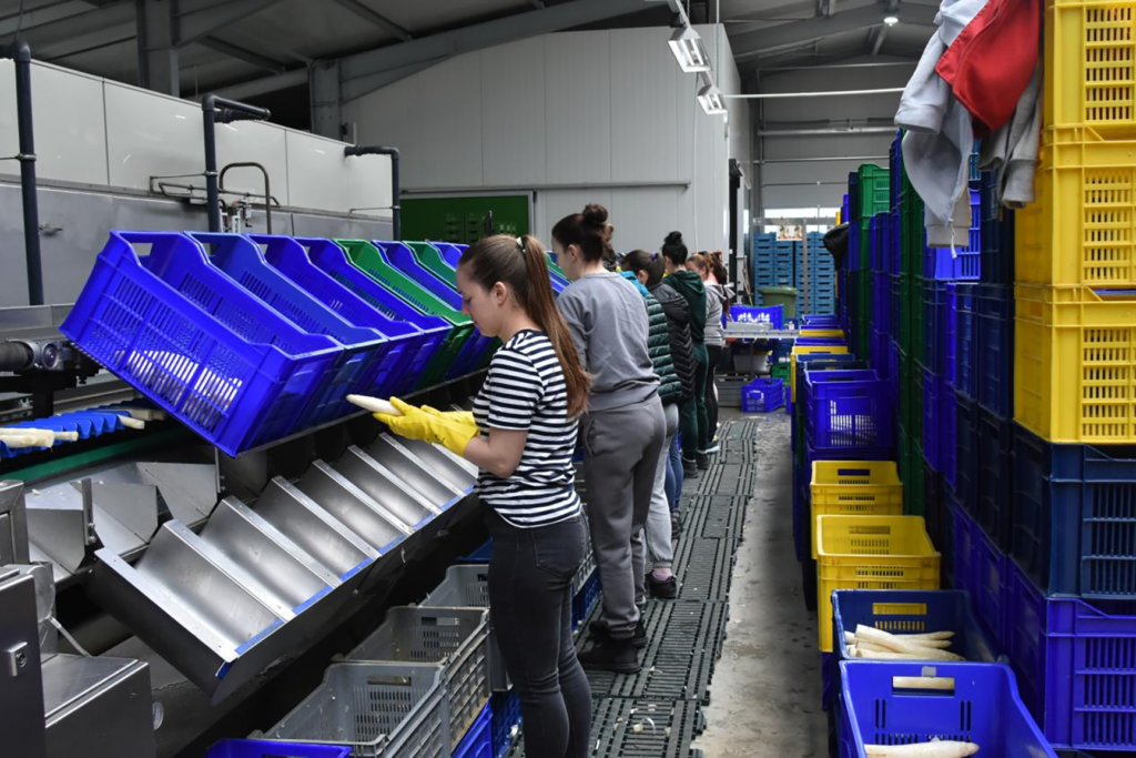 Fábrica de processamento de alimentos, localizada na Alemanha. Foto: ATESS/Divulgação