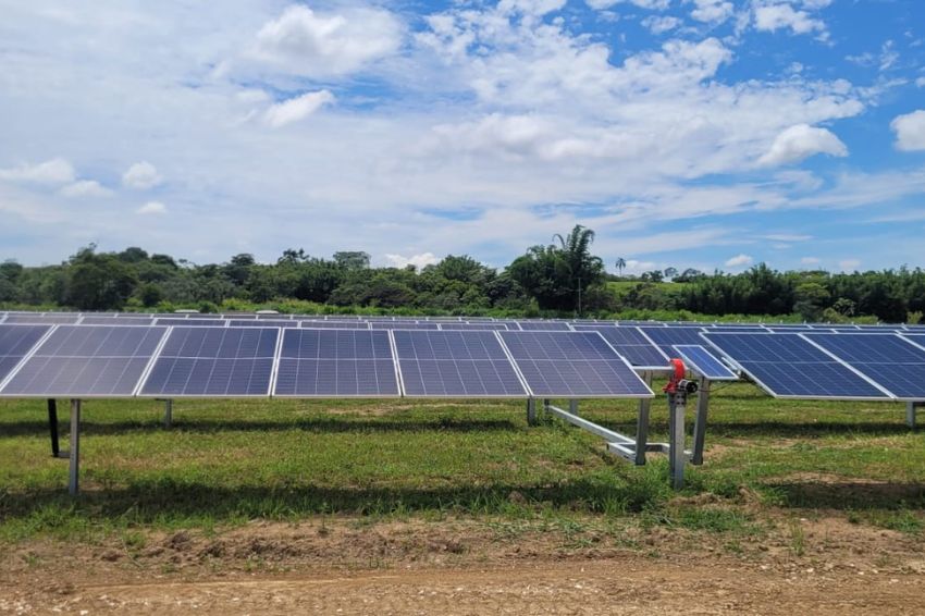 EDP inaugura complexo solar de 3,82 MWp em Tremembé (SP)