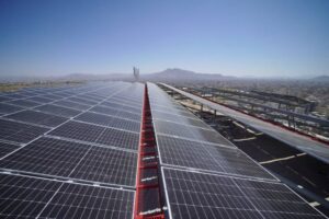 Energia Solar Canal Solar Suntech fornece 1 MW em módulos bifaciais para projeto no Oriente Médio