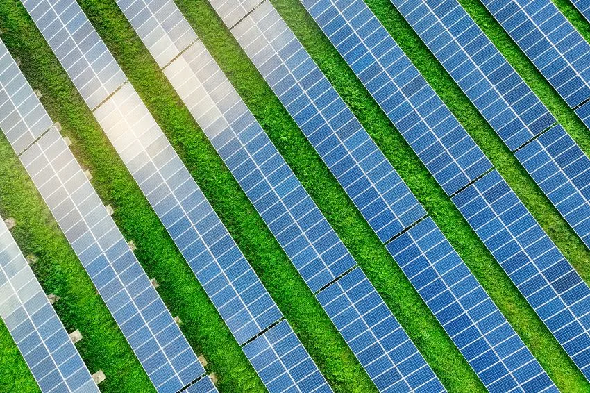 Chegou o verão mais verde da história