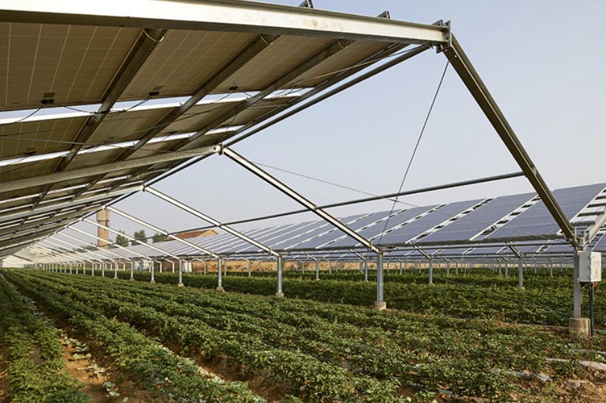 Projeto de uso de energia fotovoltaica na agricultura avança em MG