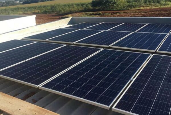 Energia solar Canal Solar Como garantir a escolha certa na compra de módulos fotovoltaicos
