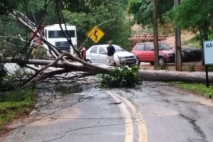 Tempestade deixa moradores do Ceará sem acesso à energia no Carnaval