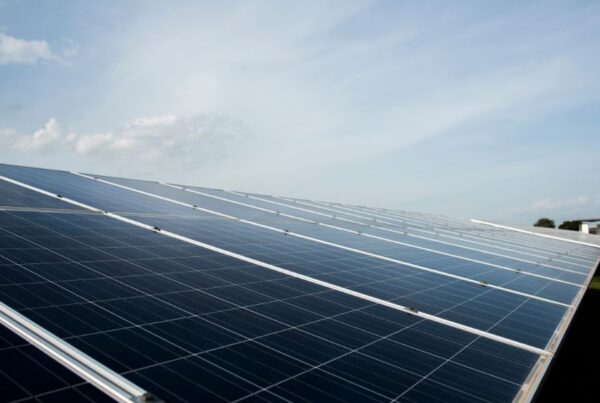 Energia Solar Canal Solar BYD firma parceria com Raízen Gera Desenvolvedora para instalar 9 usinas