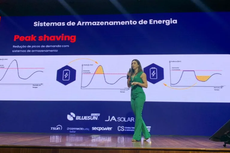 Baterias são uma grande oportunidade de negócio, afirma Sec Power