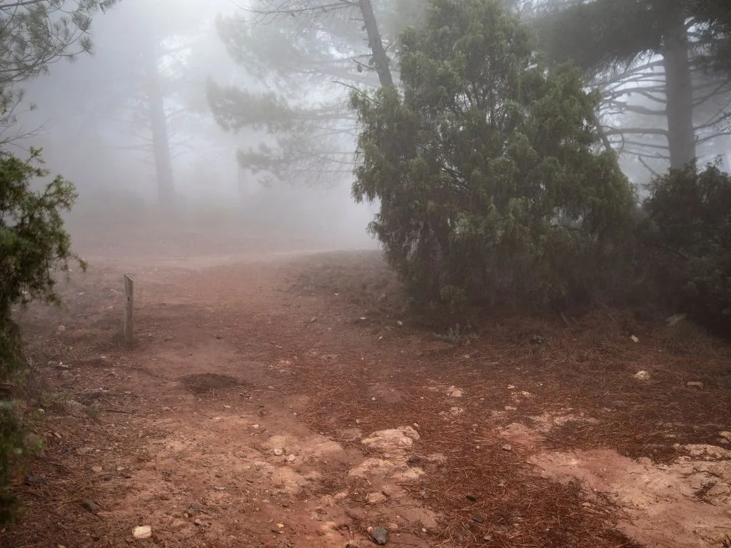 2° Encontro Nacional de Mudanças Climáticas ocorre em julho