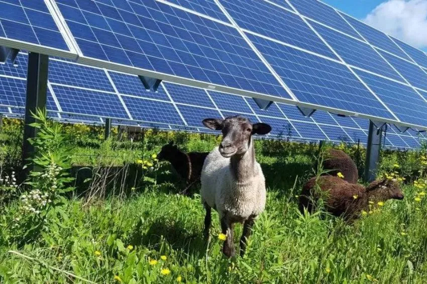 Brasília tem a maior produção de energia solar no Brasil 