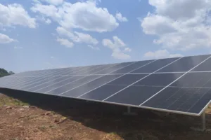 Empresa inaugura usina solar e fecha acordo com produtora de soro bovino 