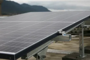 Grupo Massa entra no mercado de geração solar distribuída