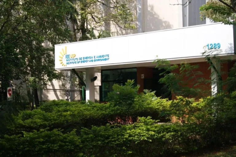 Instituto de Energia e Ambiente da USP realizará seminário sobre minirredes