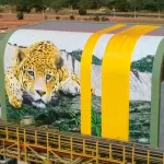 Linha de picagem substitui combustível fóssil por energia renovável na produção de biomassa