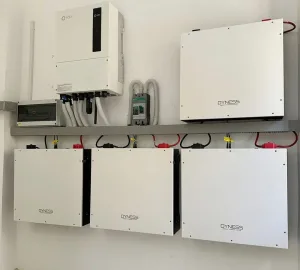 Dyness fortalece presença no Brasil com apoio direto aos profissionais do setor solar