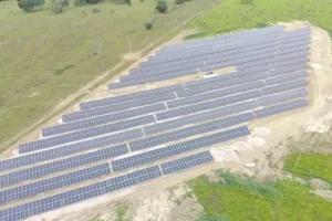 Usina solar adota módulos bifaciais de alto desempenho e supera estimativas de geração