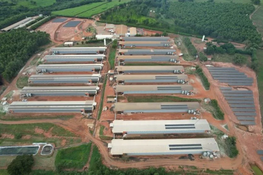 Canal Solar - Energia sob controle sistema híbrido leva autonomia e eficiência para granja paulista