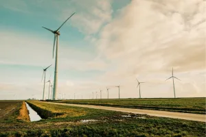 Canal Solar - Após recorde em 2024, expansão da matriz elétrica desacelera no primeiro semestre