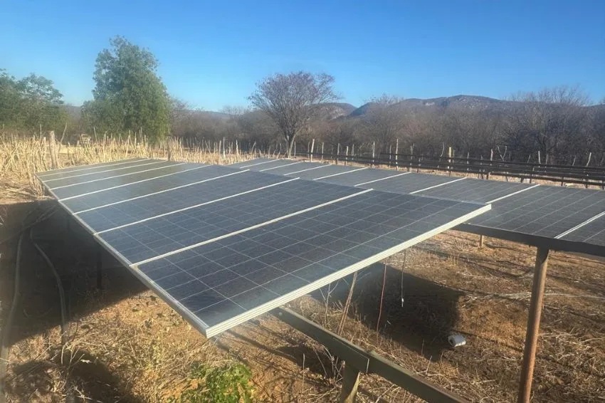Marijuana plantation powered by solar system destroyed by police in Bahia