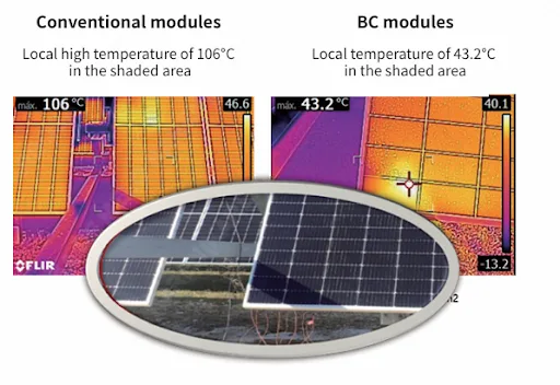 Imagem: Longi/Divulgação